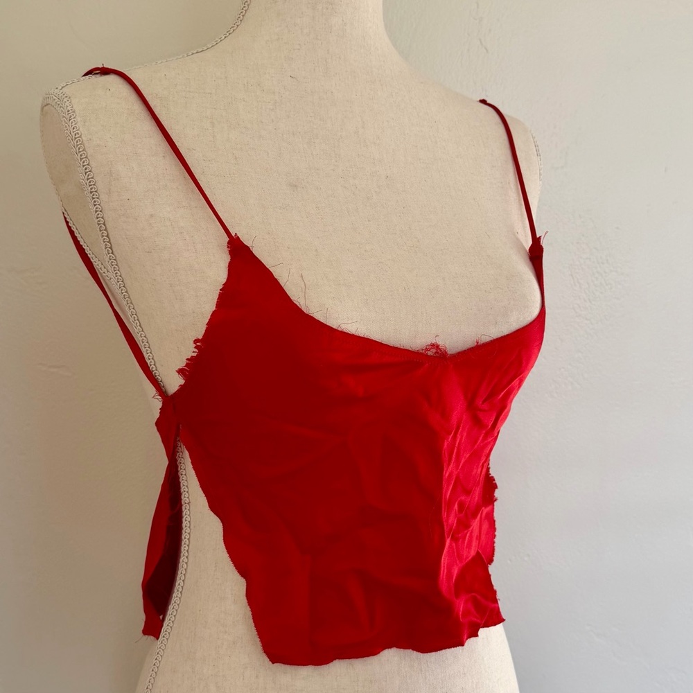 Are You Am I Red Silk Nina Slip Top [XS]